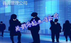 咨詢(xún)管理公司成立香港公司條件