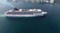 優(yōu)才能否順利續(xù)簽永居，關(guān)鍵點大公開!