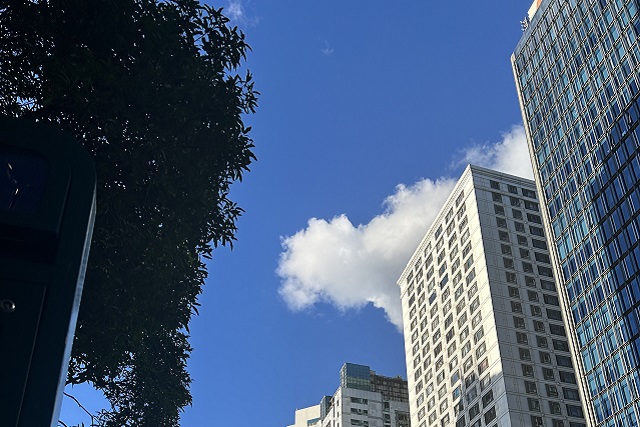 開曼公司年審全攻略：流程詳解、資料清單