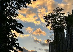 2025上半年，中國企業(yè)出海刷新全球副本：更猛、更強、更聰明