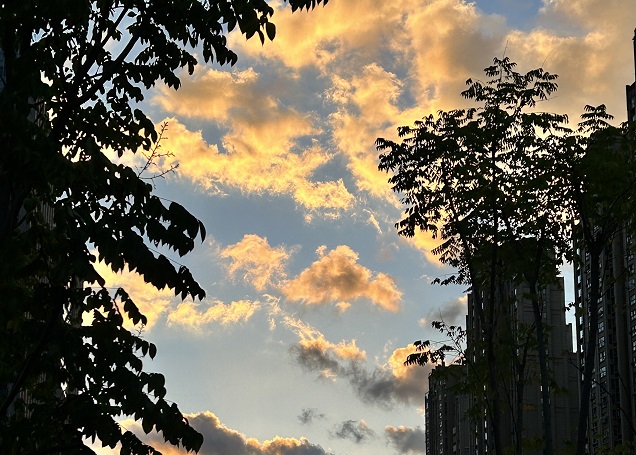 【深度解讀】2025年泰國用工風向：合規(guī)＋成本雙維度，避免“無知吃虧”的5大雷區(qū)