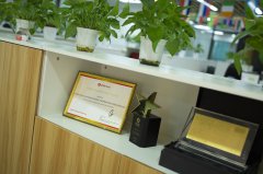 塔吉克斯坦常見(jiàn)公司類型解析